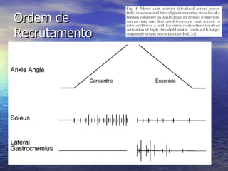 Ordem de Recrutamento 
