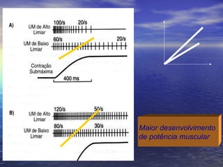 Maior desenvolvimento  de potência muscular  