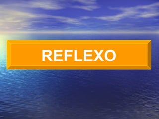 REFLEXO 