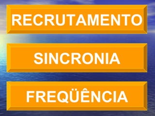 RECRUTAMENTO SINCRONIA FREQÜÊNCIA 