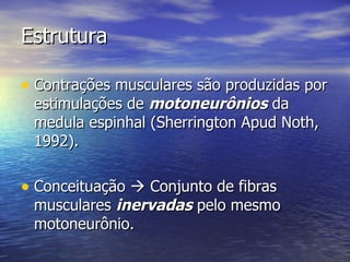 Estrutura Contrações musculares são produzidas por estimulações de  motoneurônios  da medula espinhal (Sherrington Apud Noth, 1992). Conceituação    Conjunto de fibras musculares  inervadas  pelo mesmo motoneurônio. 