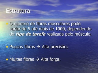 Estrutura O número de fibras musculares pode variar de 5 até mais de 1000, dependendo do  tipo de tarefa  realizada pelo músculo. Poucas fibras    Alta precisão; Muitas fibras    Alta força. 