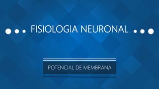 FISIOLOGIA NEURONAL
POTENCIAL DE MEMBRANA
 