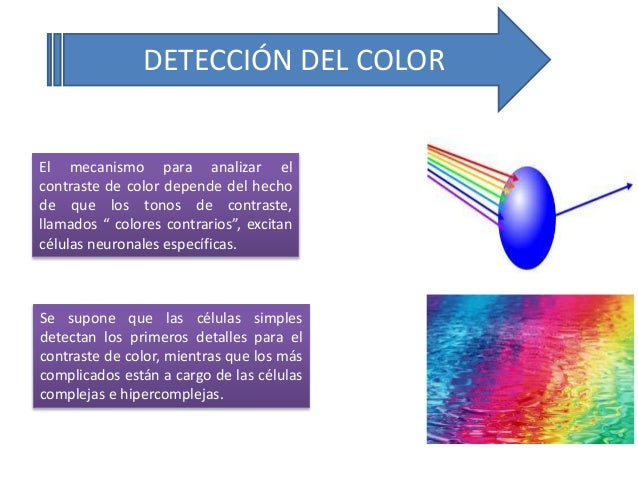 Resultado de imagen para deteccion del color en el ojo