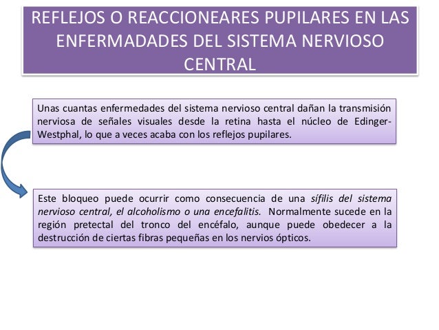 SÍNDROME DE HORNER
Este cuadro clínico es provocado por la interrupción del nervio simpático.
PROVOCA LOS SIGUIENTES EFECT...