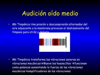 Audición oído medio Mb Timpánica Una presión o descompresión alternadas del aire adyacente a la membrana provocan el deslizamiento del tímpano para atrás y delante Mb Timpánica transforma las vibraciones sonoras en vibraciones mecánicas  Mueve los huesecillos   funcionan como palancas aumentando la fuerza de las vibraciones mecánicas  amplificadores de las vibraciones  