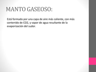 MANTO GASEOSO:
Está formado por una capa de aire más caliente, con más
contenido de CO2, y vapor de agua resultante de la
evaporización del sudor.
 