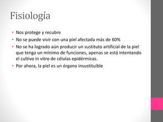 Fisiología
• Nos protege y recubre
• No se puede vivir con una piel afectada más de 60%
• No se ha logrado aún producir un sustituto artificial de la piel
que tenga un mínimo de funciones, apenas se está intentando
el cultivo in vitro de células epidérmicas.
• Por ahora, la piel es un órgano insustituible
 