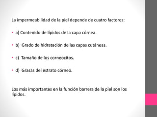 La impermeabilidad de la piel depende de cuatro factores:
• a) Contenido de lípidos de la capa córnea.
• b) Grado de hidratación de las capas cutáneas.
• c) Tamaño de los corneocitos.
• d) Grasas del estrato córneo.
Los más importantes en la función barrera de la piel son los
lípidos.
 