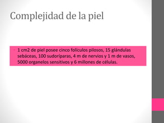Complejidad de la piel
• 1 cm2 de piel posee cinco folículos pilosos, 15 glándulas
sebáceas, 100 sudoríparas, 4 m de nervios y 1 m de vasos,
5000 organelos sensitivos y 6 millones de células.
 