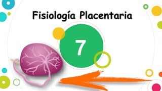 7
Fisiología Placentaria
 