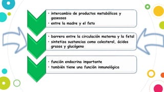 • intercambio de productos metabólicos y
gaseosos
• entre la madre y el feto
• barrera entre la circulación materna y la fetal
• sintetiza sustancias como colesterol, ácidos
grasos y glucógeno
• función endocrina importante
• también tiene una función inmunológica
 
