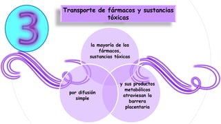 Transporte de fármacos y sustancias
tóxicas
la mayoría de los
fármacos,
sustancias tóxicas
y sus productos
metabólicos
atraviesan la
barrera
placentaria
por difusión
simple
 