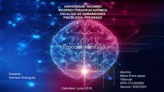 UNIVERSIDAD YACAMBÚ
VICERRECTORADO ACADÉMICO
FACULTAD DE HUMANIDADES
PSICOLOGIA- PREGRADO
Procesos mentales
Alumna:
Maria ...
