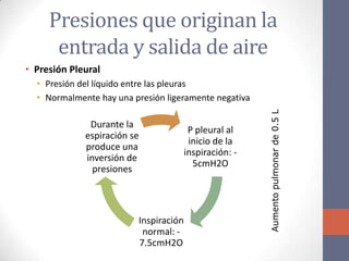 Presiones que originan la
      entrada y salida de aire
• Presión Pleural
  • Presión del líquido entre las pleuras
  • Normalmente hay una presión ligeramente negativa




                                                        Aumento pulmonar de 0.5 L
              Durante la
                                        P pleural al
             espiración se
                                        inicio de la
             produce una
                                       inspiración: -
             inversión de
                                         5cmH2O
               presiones




                         Inspiración
                          normal: -
                         7.5cmH2O
 