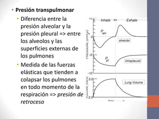 • Presión transpulmonar
  • Diferencia entre la
    presión alveolar y la
    presión pleural => entre
    los alveolos y las
    superficies externas de
    los pulmones
  • Medida de las fuerzas
    elásticas que tienden a
    colapsar los pulmones
    en todo momento de la
    respiración => presión de
    retroceso
 