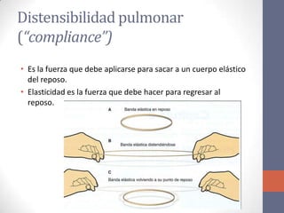 Distensibilidad pulmonar
(“compliance”)
• Es la fuerza que debe aplicarse para sacar a un cuerpo elástico
  del reposo.
• Elasticidad es la fuerza que debe hacer para regresar al
  reposo.
 