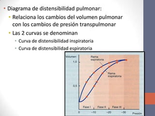 • Diagrama de distensibilidad pulmonar:
  • Relaciona los cambios del volumen pulmonar
    con los cambios de presión transpulmonar
  • Las 2 curvas se denominan
    • Curva de distensibilidad inspiratoria
    • Curva de distensibilidad espiratoria
 