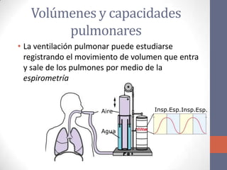 Volúmenes y capacidades
        pulmonares
• La ventilación pulmonar puede estudiarse
  registrando el movimiento de volumen que entra
  y sale de los pulmones por medio de la
  espirometría


                      Aire          Insp.Esp.Insp.Esp.


                      Agua
 