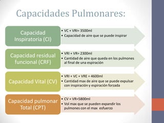Capacidades Pulmonares:
                       • VC + VRI= 3500ml
     Capacidad         • Capacidad de aire que se puede inspirar
  Inspiratoria (CI)

                       • VRI + VR= 2300ml
Capacidad residual     • Cantidad de aire que queda en los pulmones
 funcional (CRF)         al final de una espiración


                       • VRI + VC + VRE = 4600ml
Capacidad Vital (CV)   • Cantidad max de aire que se puede expulsar
                         con inspiración y espiración forzada


                       • CV + VR=5800ml
Capacidad pulmonar     • Vol max que se pueden expandir los
    Total (CPT)          pulmones con el max esfuerzo
 