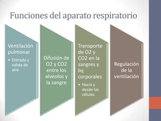 Funciones del aparato respiratorio


Ventilación                 Transporte
pulmonar                    de O2 y
• Entrada y   Difusión de   CO2 en la
  salida de    O2 y CO2     sangres y     Regulación
  aire         entre los    liq              de la
              alveolos y    corporales    ventilación
               la sangre    • Hacia y
                              desde las
                              células
 