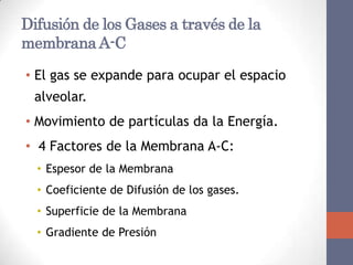 Difusión de los Gases a través de la
membrana A-C

• El gas se expande para ocupar el espacio
 alveolar.
• Movimiento de partículas da la Energía.
• 4 Factores de la Membrana A-C:
  • Espesor de la Membrana
  • Coeficiente de Difusión de los gases.
  • Superficie de la Membrana
  • Gradiente de Presión
 