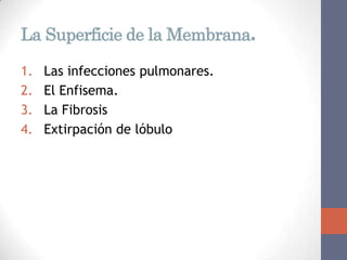 La Superficie de la Membrana.

1.   Las infecciones pulmonares.
2.   El Enfisema.
3.   La Fibrosis
4.   Extirpación de lóbulo.
 