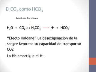 El CO2 como HCO3
      Anhidrasa Carbónica



H2O + CO2  H2CO3           H+ + HCO3

“Efecto Haldane” La desoxigenacion de la
sangre favorece su capacidad de transportar
CO2
La Hb amortigua el H+.
 