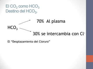 El CO2 como HCO3
Destino del HCO3.

                      70% Al plasma
 HCO3
                   30% se intercambia con Cl-
 El “Desplazamiento del Cloruro”
 