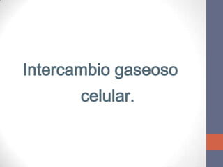 El Proceso Respiratorio.


  Intercambio gaseoso
              celular.
 