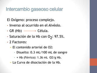 Intercambio gaseoso celular

El Oxígeno: proceso complejo.
• Inverso al ocurrido en el Alvéolo.
• GR (Hb)            Célula.
• Saturación de la Hb con O2: 97.5%.
• 2 Factores:
  • El contenido arterial de O2:
    • Disuelto: 0.3 mL/100 mL de sangre
    • + Hb (Férrico): 1.36 mL O2/g Hb.
  • La Curva de disociación de la Hb.
 