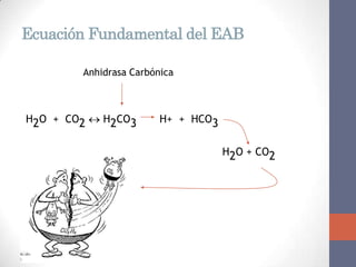 Ecuación Fundamental del EAB

        Anhidrasa Carbónica



H2O + CO2  H2CO3       H+ + HCO3


                                    H2O + CO2
 