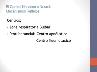 El Control Nervioso o Neural.
Mecanismos Reflejos

Centros:
• Zona respiratoria Bulbar
• Protuberancial: Centro Apnéustico

                   Centro Neumotáxico
 
