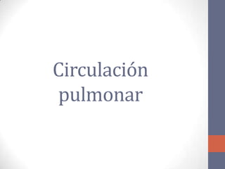 Circulación
 pulmonar
 