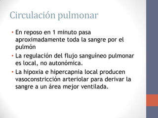 Circulación pulmonar
• En reposo en 1 minuto pasa
  aproximadamente toda la sangre por el
  pulmón
• La regulación del flujo sanguíneo pulmonar
  es local, no autonómica.
• La hipoxia e hipercapnia local producen
  vasoconstricción arteriolar para derivar la
  sangre a un área mejor ventilada.
 