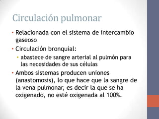 Circulación pulmonar
• Relacionada con el sistema de intercambio
  gaseoso
• Circulación bronquial:
 • abastece de sangre arterial al pulmón para
   las necesidades de sus células
• Ambos sistemas producen uniones
  (anastomosis), lo que hace que la sangre de
  la vena pulmonar, es decir la que se ha
  oxigenado, no esté oxigenada al 100%.
 