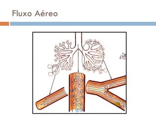 Fluxo Aéreo
 