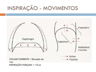 INSPIRAÇÃO - MOVIMENTOS
VOLUME CORRENTE = Elevação de
1cm
INSPIRAÇÃO FORÇADA = 10 cm
 