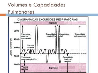 Volumes e Capacidades
Pulmonares
 