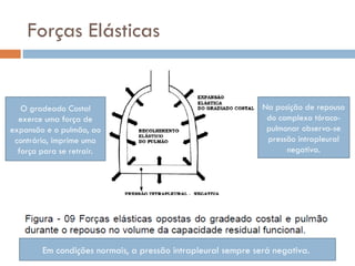 Forças Elásticas
Na posição de repouso
do complexo tóraco-
pulmonar observa-se
pressão intrapleural
negativa.
O gradeado Costal
exerce uma força de
expansão e o pulmão, ao
contrário, imprime uma
força para se retrair.
Em condições normais, a pressão intrapleural sempre será negativa.
 