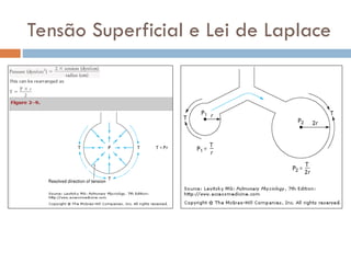 Tensão Superficial e Lei de Laplace
 