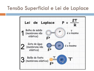 Tensão Superficial e Lei de Laplace
1
1
2
2
3
3
 
