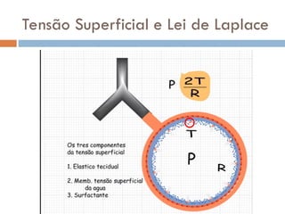 Tensão Superficial e Lei de Laplace
 