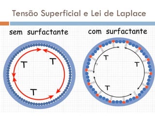 Tensão Superficial e Lei de Laplace
 