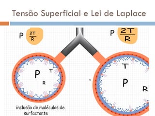 Tensão Superficial e Lei de Laplace
 