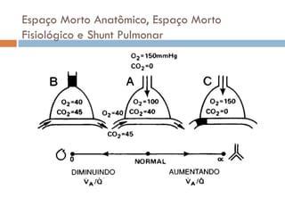 Espaço Morto Anatômico, Espaço Morto
Fisiológico e Shunt Pulmonar
 