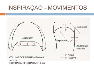 INSPIRAÇÃO - MOVIMENTOS 
VOLUME CORRENTE = Elevação 
de 1cm 
INSPIRAÇÃO FORÇADA = 10 cm 
 