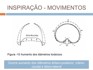 INSPIRAÇÃO - MOVIMENTOS 
Ocorre aumento dos diâmetros ântero-posterior, crânio-caudal 
e látero-lateral 
 