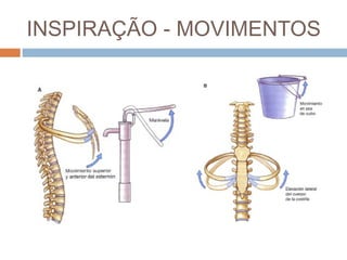 INSPIRAÇÃO - MOVIMENTOS 
 