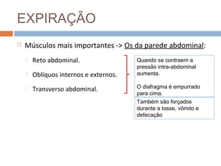 EXPIRAÇÃO 
 Músculos mais importantes -> Os da parede abdominal: 
 Reto abdominal. 
 Oblíquos internos e externos. 
 Transverso abdominal. 
Quando se contraem a 
pressão intra-abdominal 
aumenta. 
O diafragma é empurrado 
para cima. 
Também são forçados 
durante a tosse, vômito e 
defecação 
 